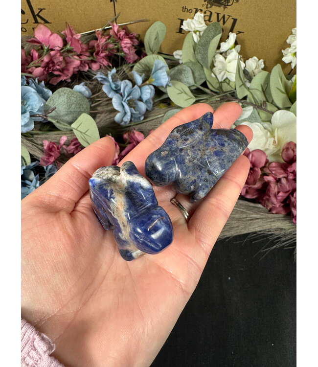 2" Rabbit Carving, 15 Types