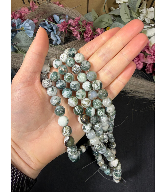 Tree Agate Beads Polished 15" Strand 4mm 6mm 8mm 10mm