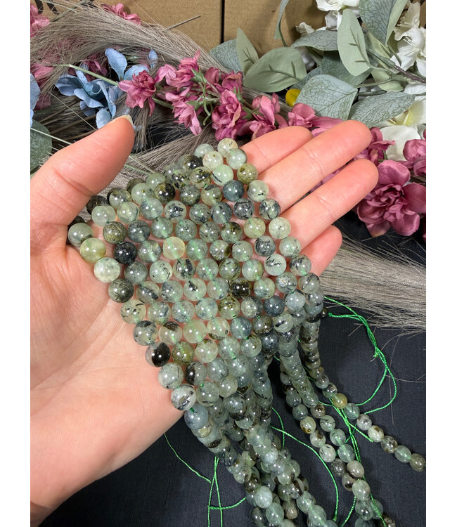 Prehnite Beads Polished 15" Strand 6mm 8mm