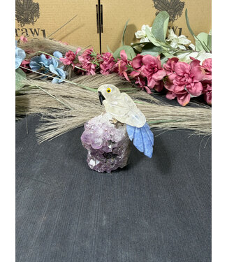 Gemstone Parrot #282, 120gr