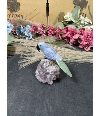 Gemstone Parrot #286, 84gr