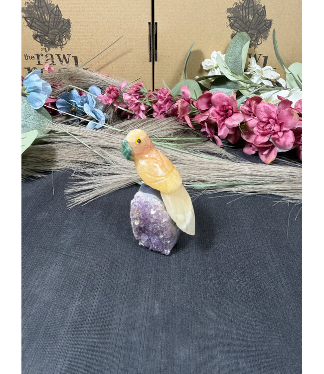 Gemstone Parrot #285, 94gr