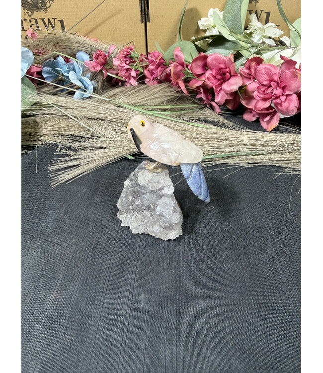 Gemstone Parrot #280, 78gr