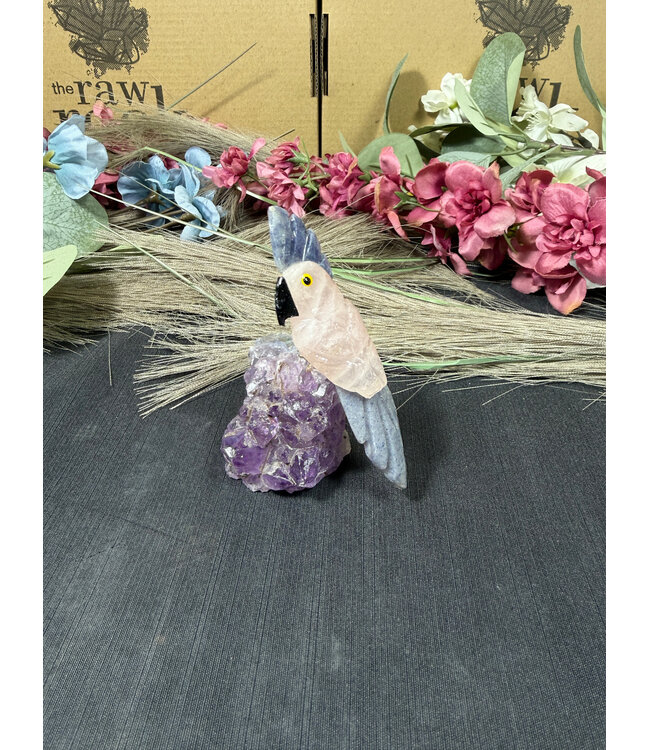 Gemstone Parrot #278, 88gr