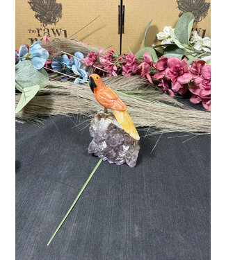 Gemstone Parrot #274, 98gr