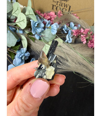 Aegirine with Smoky Quartz #14, 10.42gr