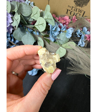 Aegirine with Smoky Quartz #8, 14.92gr