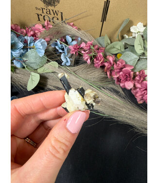 Aegirine with Smoky Quartz #2, 12.6gr