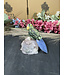 Gemstone Parrot #300, 230gr