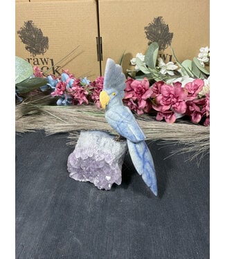 Gemstone Parrot #302, 242gr