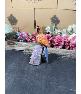 Gemstone Parrot #307, 190gr