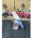 Gemstone Parrot #309, 258gr