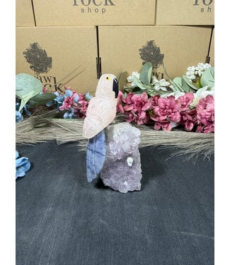 Gemstone Parrot #311, 340gr