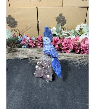 Gemstone Parrot #312, 222gr