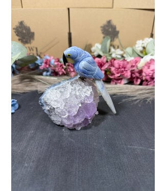 Gemstone Parrot #340, 340gr