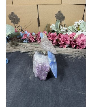 Gemstone Parrot #339, 312gr