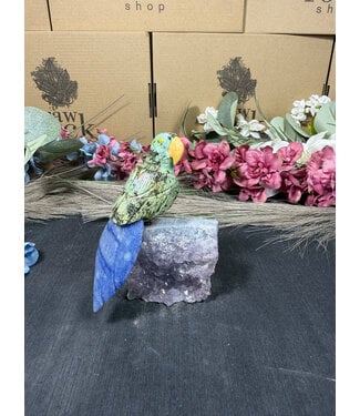 Gemstone Parrot #337, 224gr