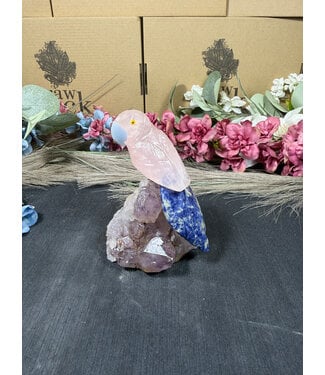 Gemstone Parrot #336, 302gr