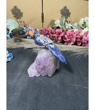 Gemstone Parrot #338, 428gr