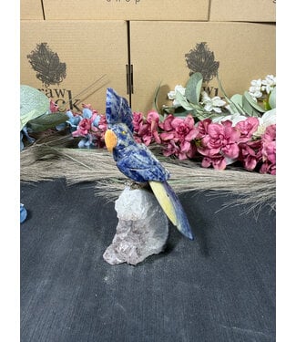 Gemstone Parrot #332, 204gr