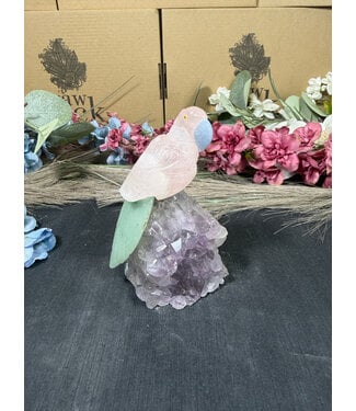 Gemstone Parrot #333, 360gr