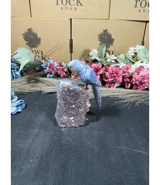 Gemstone Parrot #331, 248gr