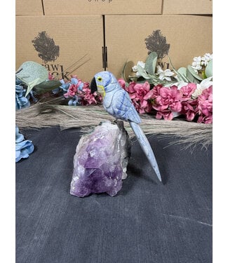 Gemstone Parrot #328, 426gr