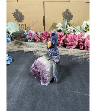Gemstone Parrot #325, 328gr