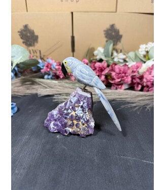 Gemstone Parrot #323, 252gr