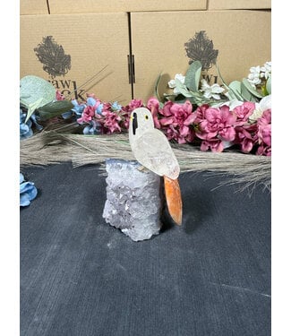 Gemstone Parrot #324, 214gr