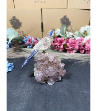 Gemstone Parrot #318, 438gr