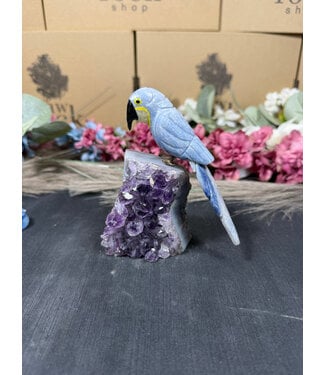 Gemstone Parrot #317, 310gr