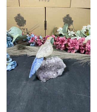 Gemstone Parrot #314, 348gr