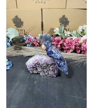 Gemstone Parrot #315, 292gr