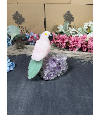 Gemstone Parrot #316, 338gr