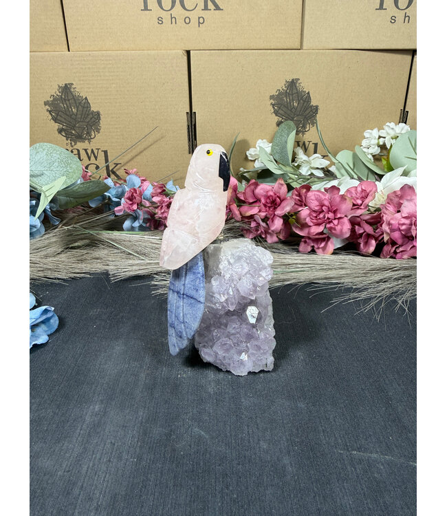 Gemstone Parrot #311, 340gr