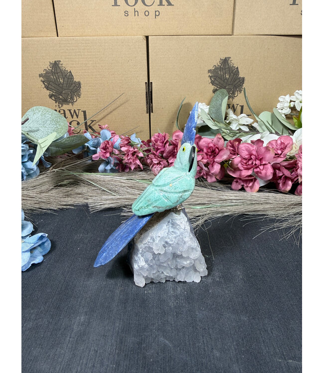 Gemstone Parrot #310, 234gr