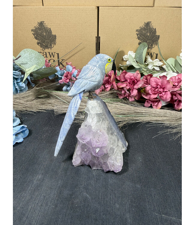 Gemstone Parrot #308, 380gr