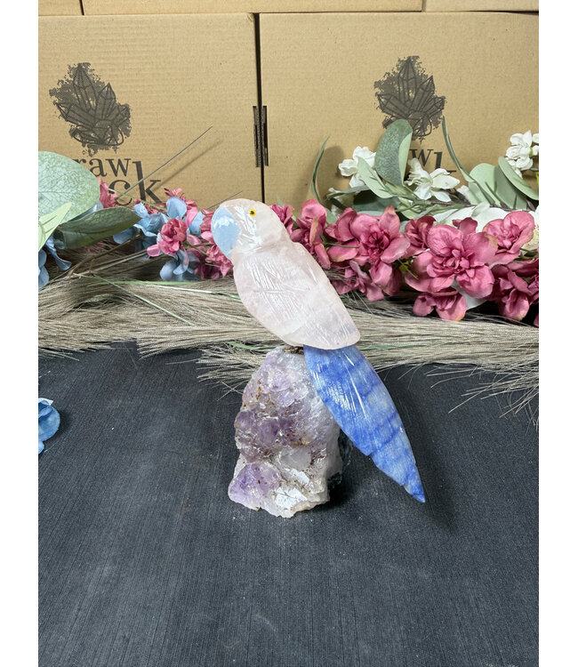 Gemstone Parrot #309, 258gr