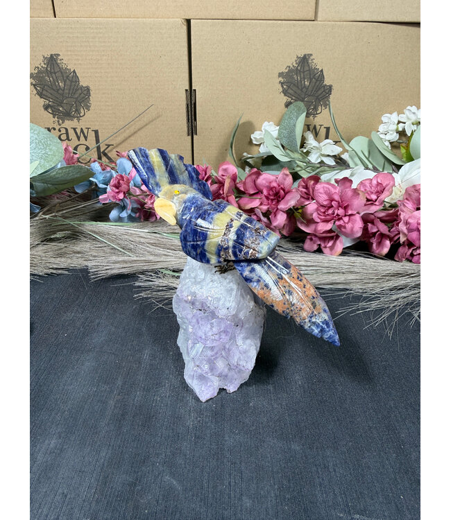 Gemstone Parrot #306, 268gr