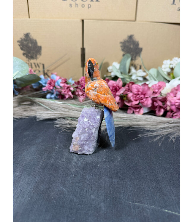 Gemstone Parrot #307, 190gr