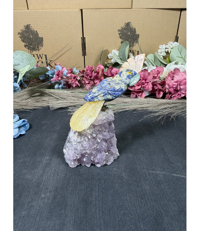 Gemstone Parrot #304, 282gr