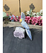 Gemstone Parrot #302, 242gr