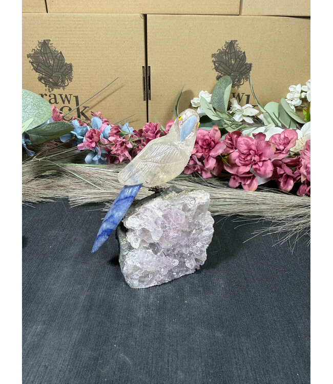 Gemstone Parrot #301, 312gr