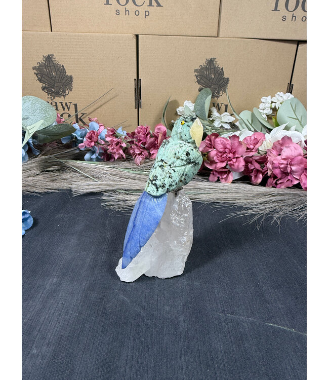 Gemstone Parrot #297, 194gr