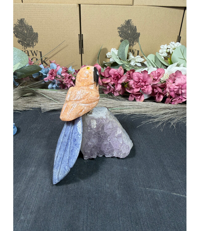 Gemstone Parrot #298, 338gr