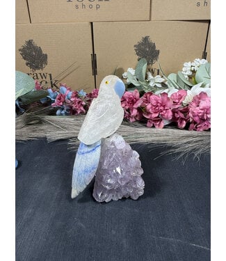 Gemstone Parrot #293, 334gr