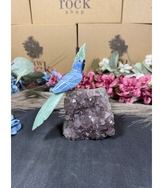 Gemstone Parrot #291, 380gr