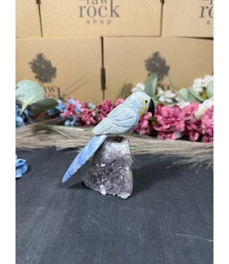 Gemstone Parrot #292, 232gr