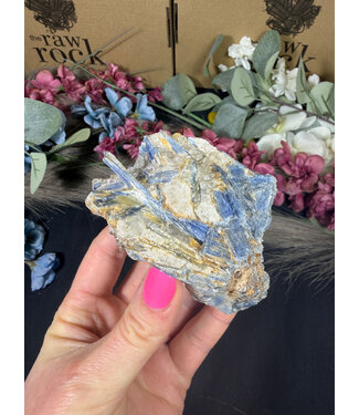 Kyanite Specimen #316, 302gr